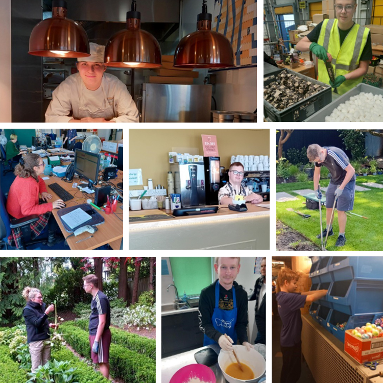 Supported interns collage.