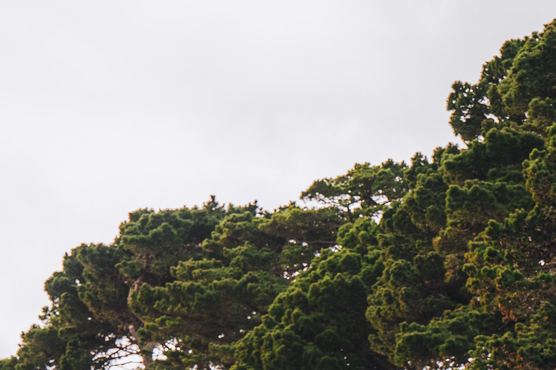 Seafront-BCP_Photos_Beaches_Christchurch_Avon_Beach_310123-42