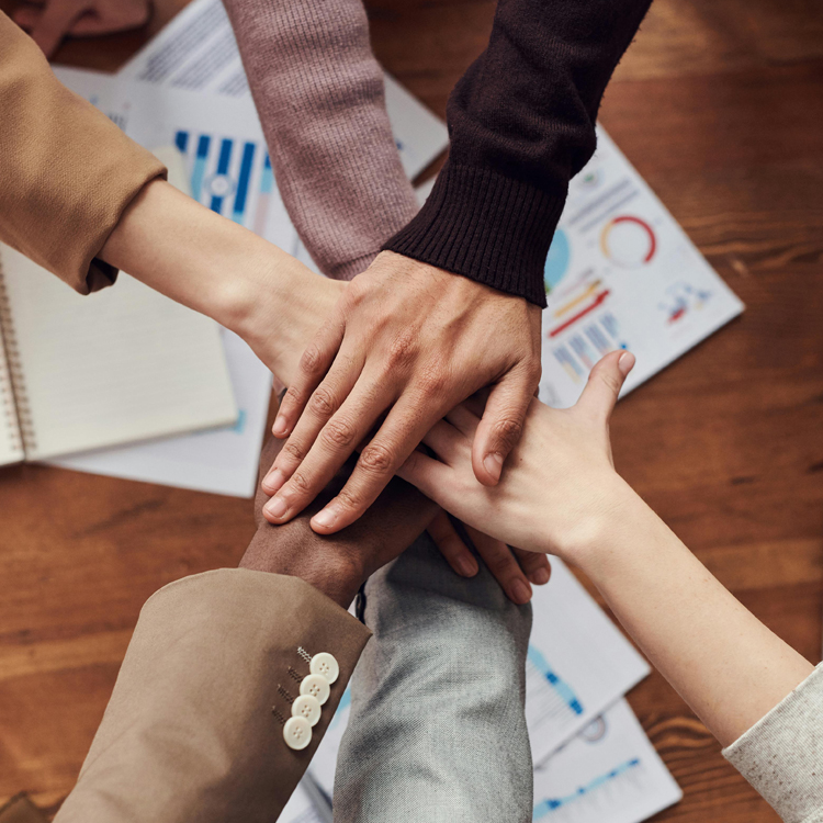 supported internship - nav